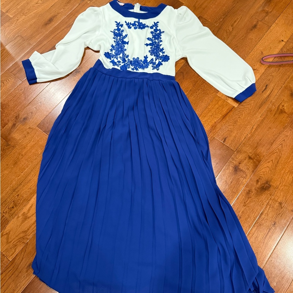 Pleated Elegant Blue and White Kids Dress